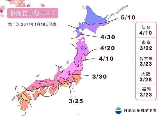 Sakuras au Japon en 2017